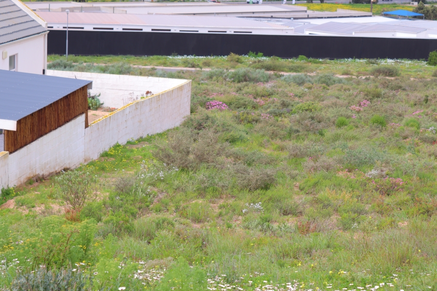 0 Bedroom Property for Sale in Britannica Heights Western Cape